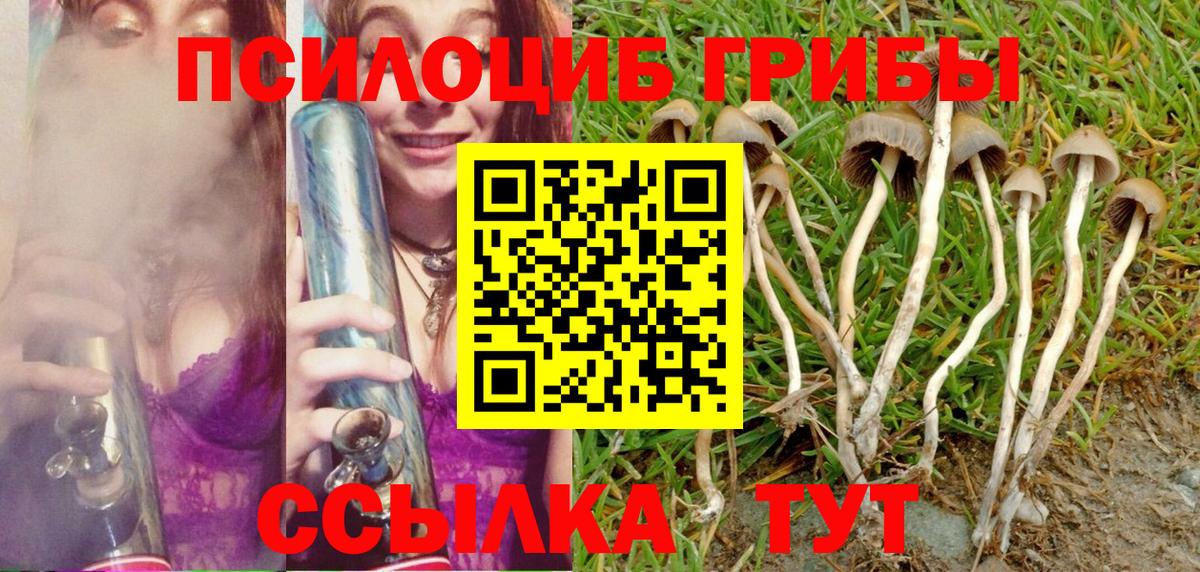 Черняховск  Галлюциногенные грибы MAGIC MUSHROOMS  Галлюциногенные грибы GOLDEN TEACHER  купить закладку  Вход с VPN 